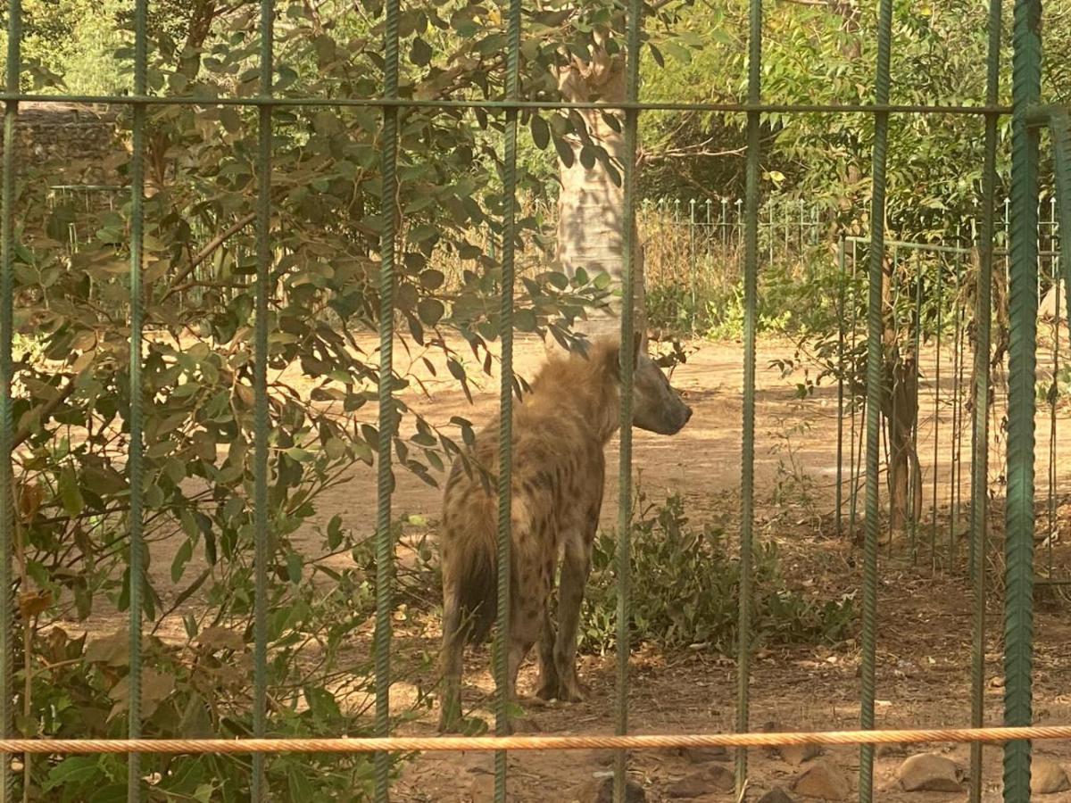 Auberge Africa Thiossane サリー・ポルチュダル エクステリア 写真